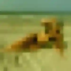 Zara, 23 ans, connectée à Le Pontet pour une rencontre coquine