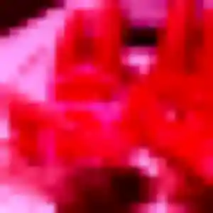 Photo de Flavia à Le Vauclin (31 ans) - rencontre sexe sans inscription