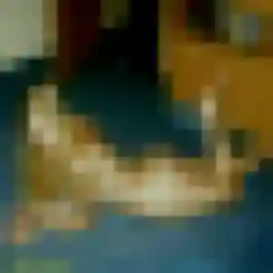 Contacte Tessa, 44 ans à Leforest gratuitement