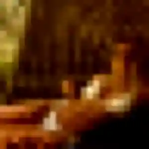Apolline, 41 ans, dispo pour rencontre sexe à Libourne