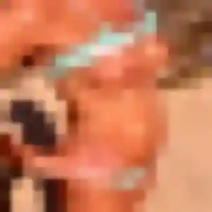 Contacte Hermine, 25 ans à Linselles en privé