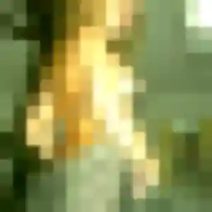 Sexy Ingrid, 37 ans à Locmaria-Plouzané - la contacter