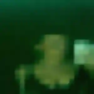 Photo perso de Ivana, 32 ans à Loireauxence - rencontre coquine