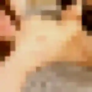 Photo privée de Audrey, 32 ans à Loison-sous-Lens - plan discret
