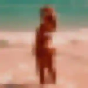 Albertine de Longpont-sur-Orge, 43 ans - rencontre sexe sans lendemain