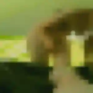Rencontre Berengere, 33 ans à Longpont-sur-Orge en privé