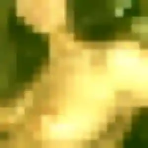 Hyacinthe, 38 ans, dispo pour rencontre sexe à Loriol-sur-Drôme