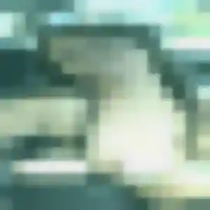Profil de Anne-Sophie à Loudun (39 ans) - rencontre sexe sans inscription