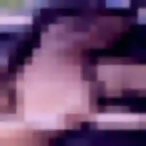 Photo de Daphne à Luxeuil-les-Bains (20 ans) - rencontre sexe anonyme