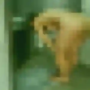 Solange, femme de 26 ans propose rencontre sexe à Marseillan