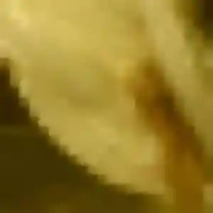 Alessandra, 27 ans, cherche un rencontre sexe à Maubeuge