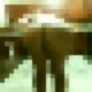 Photo exclusive de Thais, 23 ans à Mazé-Milon - rencontre sans lendemain