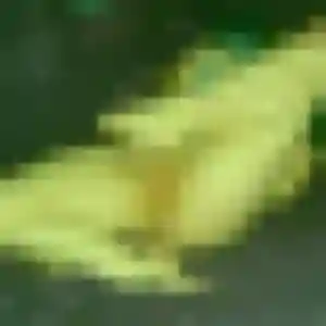 Ophelie (40 ans) à Mignaloux-Beauvoir attend un rencontre sexe ce soir