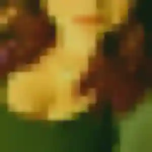 Albane, 31 ans, cherche un rencontre sexe à Millau