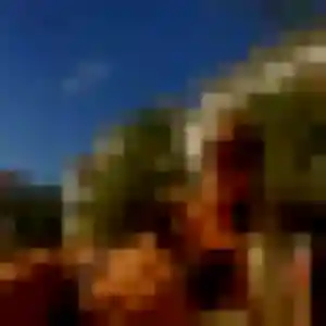 Profil de Isaure à Mondonville (32 ans) - rencontre sexe gratuit