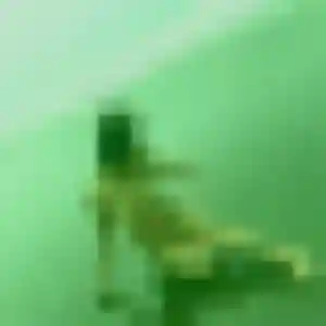 Ophelie, femme de 26 ans cherche rencontre sexe à Montbonnot-Saint-Martin
