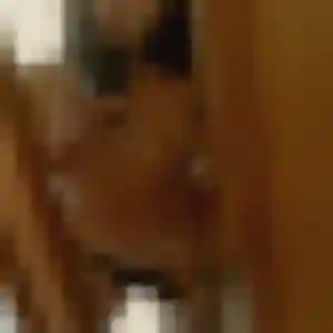 rencontre sexe à Montélimar : profil de Noemie, 41 ans - sans engagement
