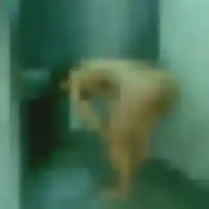 Malika, 24 ans, connectée à Neuilly-Plaisance pour un rencontre sexe