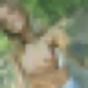 Sexy Amel, 36 ans à Noyant-Villages - la contacter