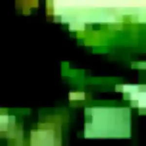 Profil de Daniela à Noyelles-sous-Lens (37 ans) - rencontre sexe anonyme