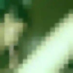 rencontre sexe à Orléans : profil de Chloe, 35 ans - inscription gratuite
