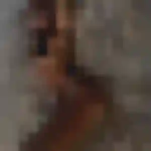 Pauline (36 ans) à Perros-Guirec attend un rencontre sexe rapidement