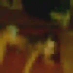 Photo de Delphine à Petit-Caux (30 ans) - rencontre sexe sans inscription