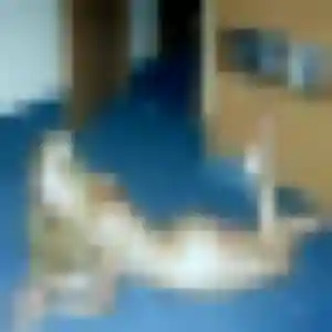 Mia, femme de 42 ans veut rencontre sexe à Plescop
