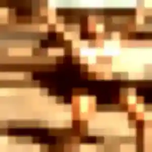 Profil de Justine à Pointe-Noire (43 ans) - rencontre sexe anonyme