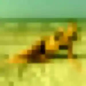 Photo privée de Stephanie, 23 ans à Pornic - rencontre sans lendemain