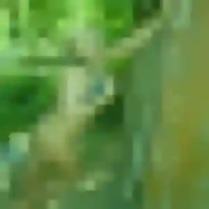Blandine, 34 ans, connectée à Poussan pour une rencontre coquine