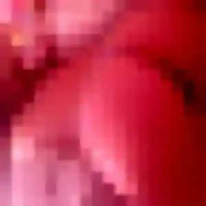 Fabienne de Rennes, 31 ans - rencontre sexe discret