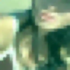 Thais, fille de 42 ans veut rencontre sexe à Riantec