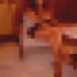 Aurore, 28 ans, connectée à Riom pour un rencontre sexe
