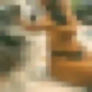 Photo privée de Yasmine, 38 ans à Rocbaron - rencontre coquine
