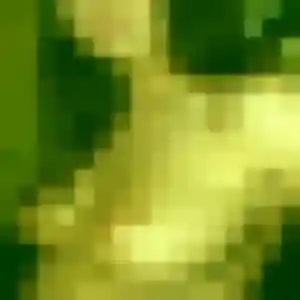 Coralie (32 ans) à Roquemaure cherche un rencontre sexe ce soir