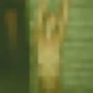 Profil de Ariane à Saint-André (40 ans) - rencontre sexe anonyme