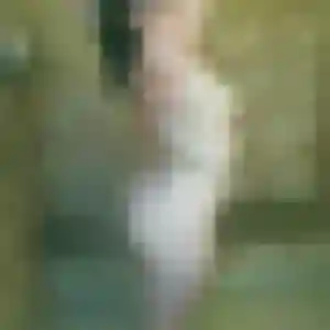Elsa, 34 ans, dispo pour rencontre sexe à Saint-André
