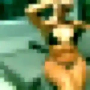 Profil de Noura à Saint-Estève (36 ans) - rencontre sexe discret