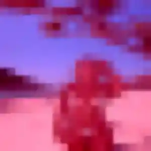 Florence, 43 ans, en ligne à Saint-Jean-d'Illac pour une rencontre coquine