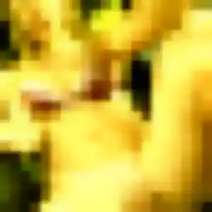 Profil de Jessica à Saint-Mitre-les-Remparts (44 ans) - rencontre sexe anonyme