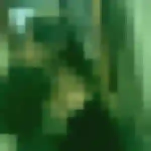 Candice, 21 ans, cherche un rencontre sexe à Saint-Paul-Trois-Châteaux