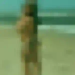 Sophie, 35 ans, connectée à Saint-Saturnin-lès-Avignon pour une rencontre coquine