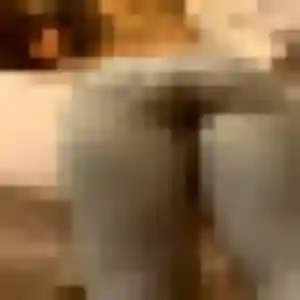 Gwendoline (36 ans) à Sainte-Adresse propose un rencontre sexe ce soir