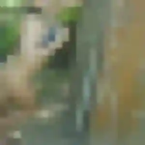 Photo sexy de Nora, 40 ans à Sainte-Livrade-sur-Lot - rencontre sans lendemain