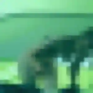 Sexy Typhaine, 25 ans à Saverne - voir sa photo