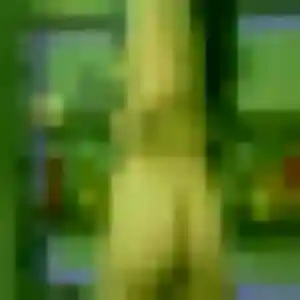 Photo de Hyacinthe à Sevran (38 ans) - rencontre sexe gratuit