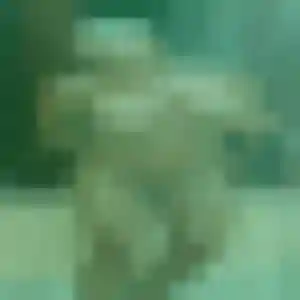 Rencontre Apolline, 31 ans à Sigean en privé