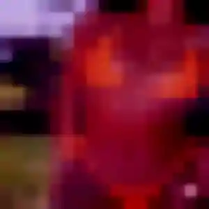 Photo de Zina à Sigean (38 ans) - rencontre sexe discret