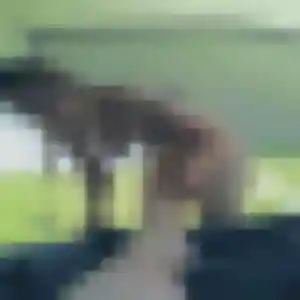 Brigitte, fille de 37 ans propose rencontre sexe à Talmont-Saint-Hilaire